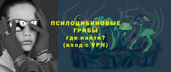 кокс Белокуриха