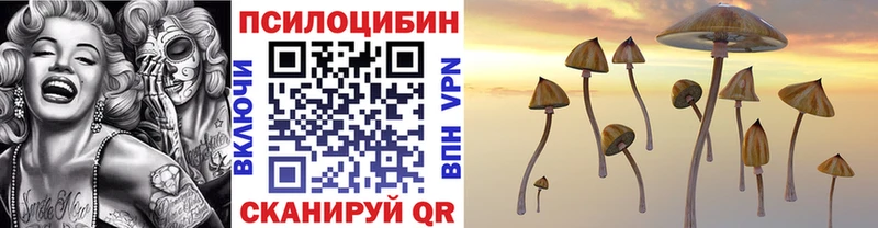 Галлюциногенные грибы Cubensis  Купить  Губаха 